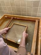 IMG4735-Large